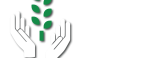 Sandiso Logo Landscape White & green